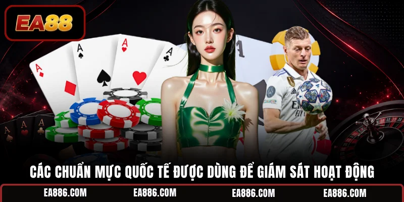 Các chuẩn mực quốc tế được dùng để giám sát hoạt động 