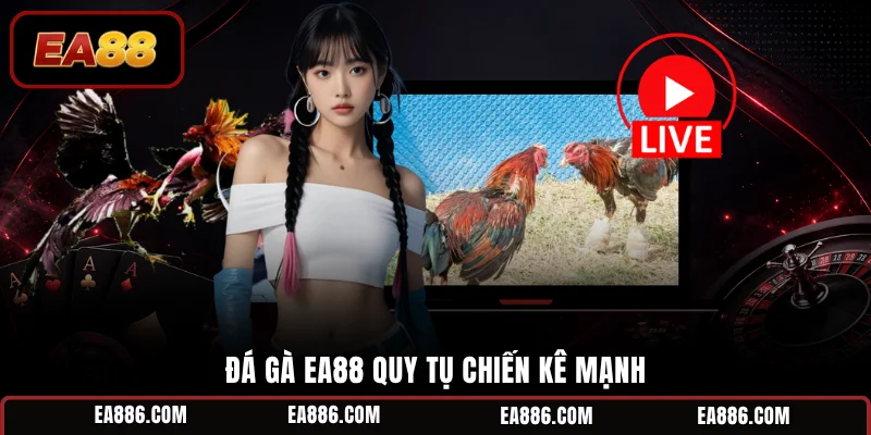 Đá gà EA88 quy tụ chiến kê mạnh