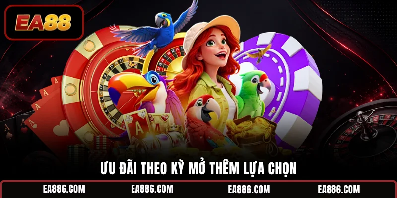 Ưu đãi theo kỳ mở thêm lựa chọn